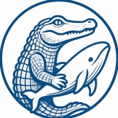 Gator Traffic